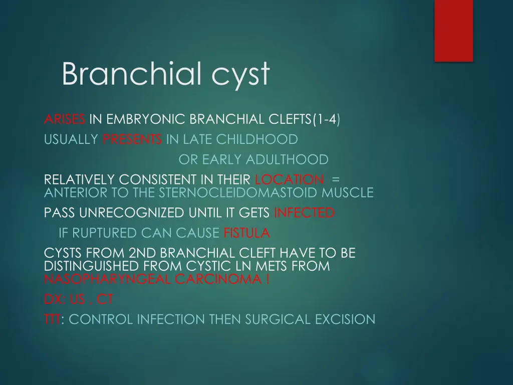 branchial cyst 1