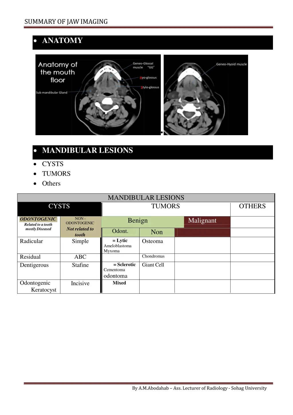 summary of jawimaging 1