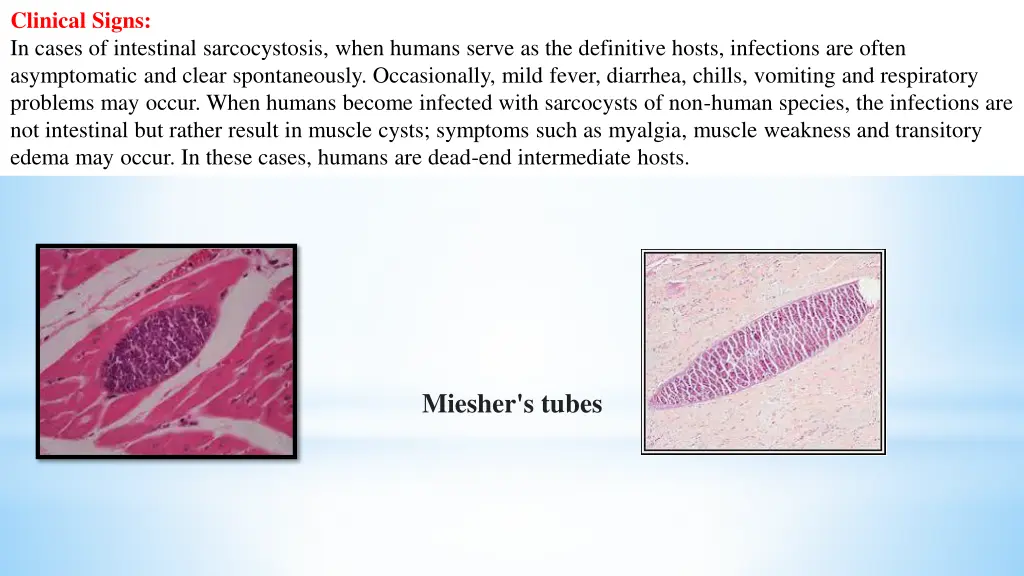 clinical signs in cases of intestinal