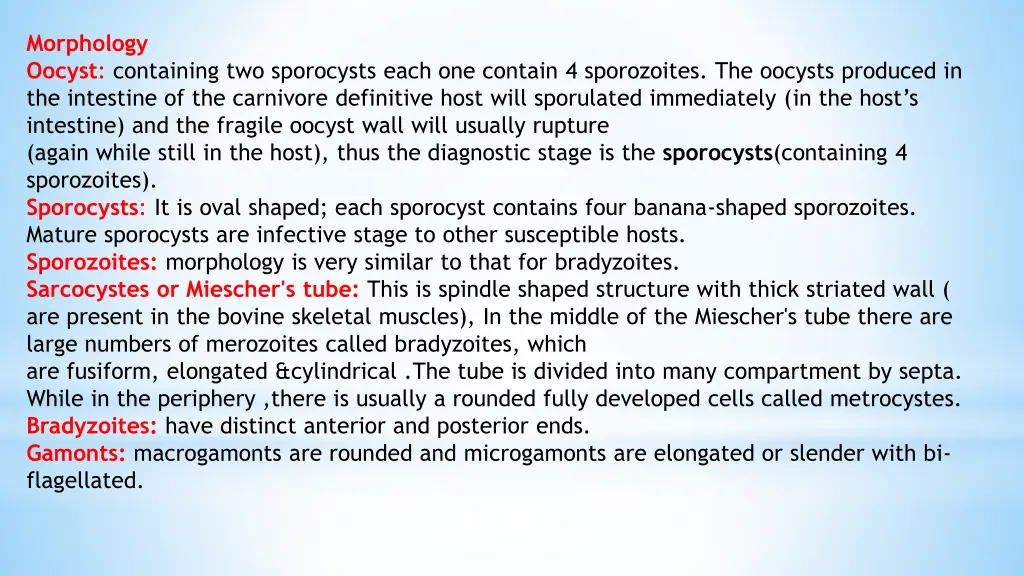 morphology oocyst containing two sporocysts each