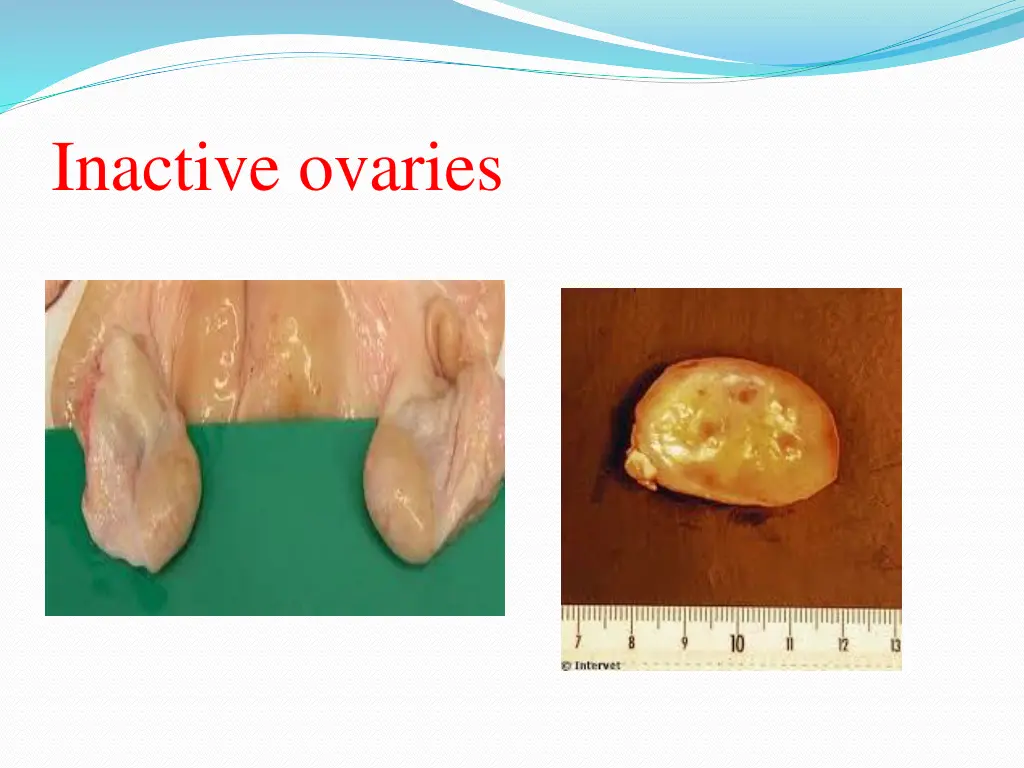 inactive ovaries