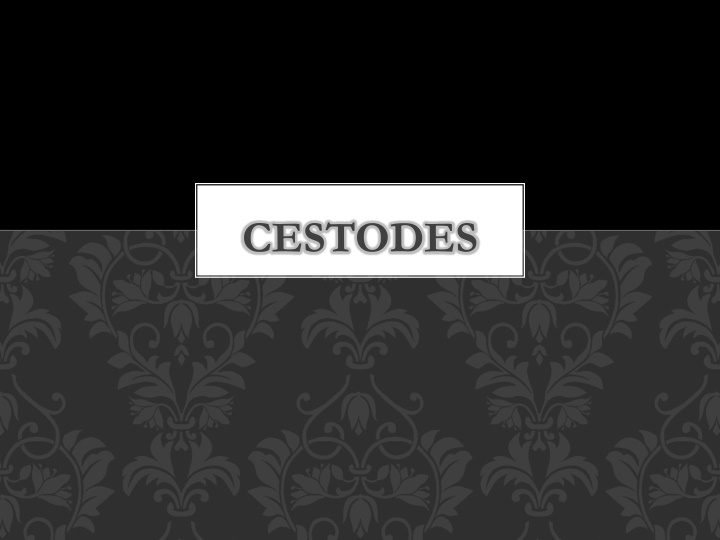 cestodes