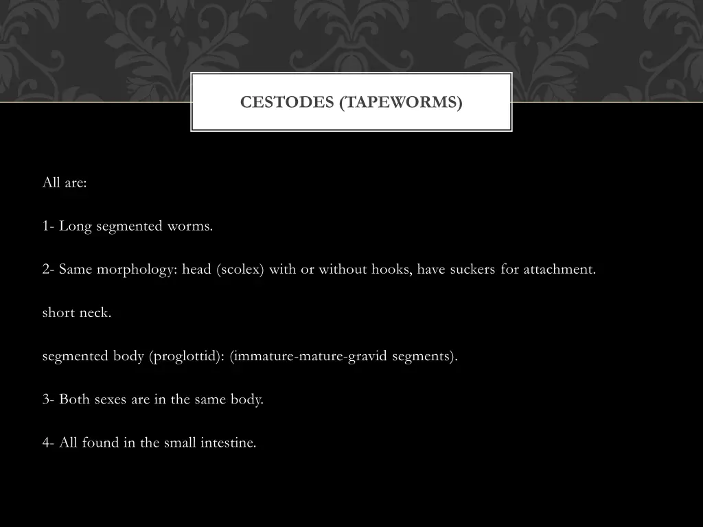 cestodes tapeworms