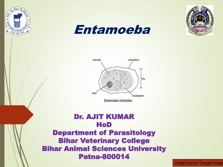 bihar animal sciences university