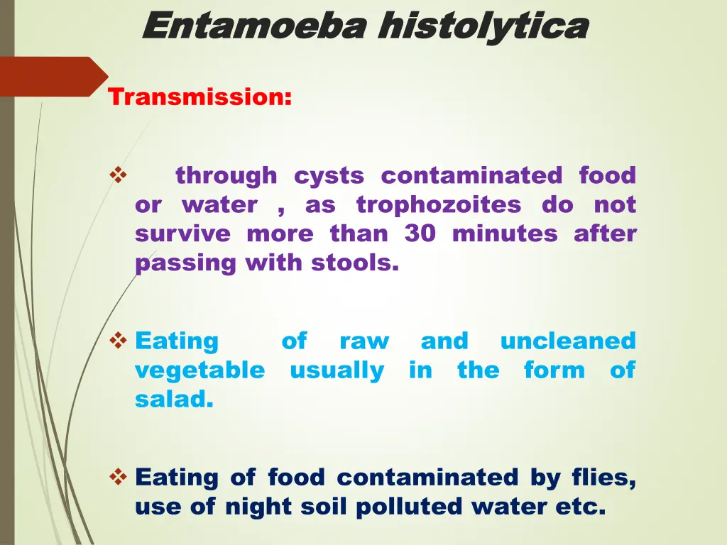 entamoeba entamoeba histolytica 4