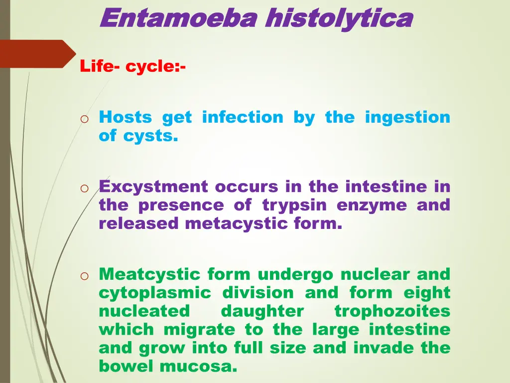 entamoeba entamoeba histolytica 5