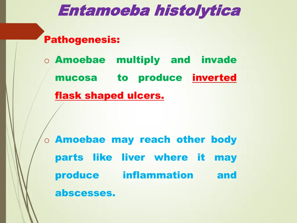 entamoeba entamoeba histolytica 7