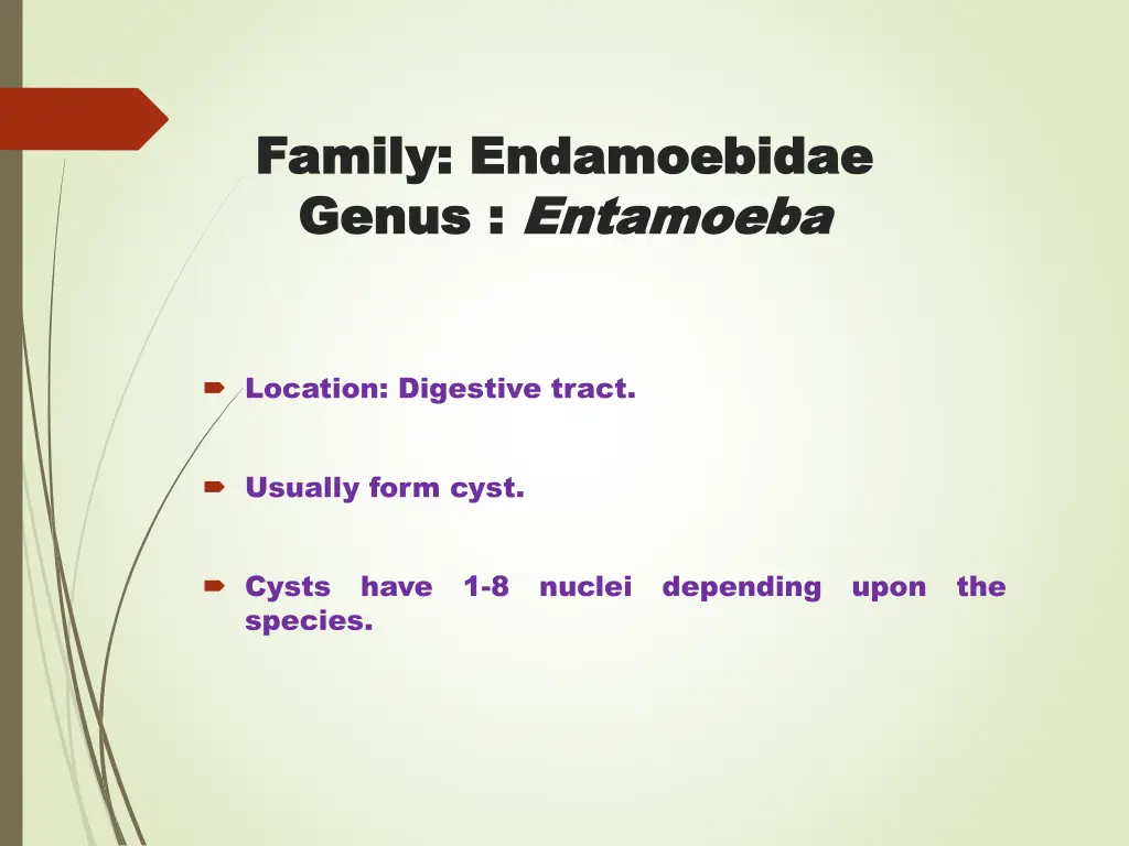 family family endamoebidae endamoebidae genus