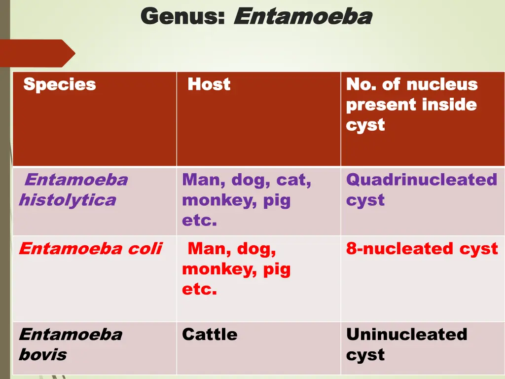 genus genus entamoeba entamoeba