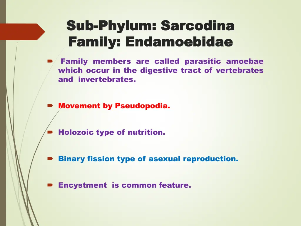 sub sub phylum phylum sarcodina family family