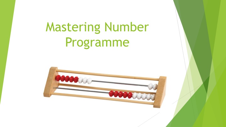 mastering number programme