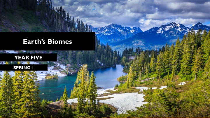 earth s biomes