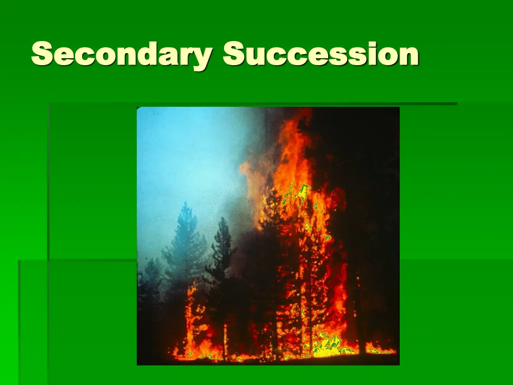 secondary succession secondary succession