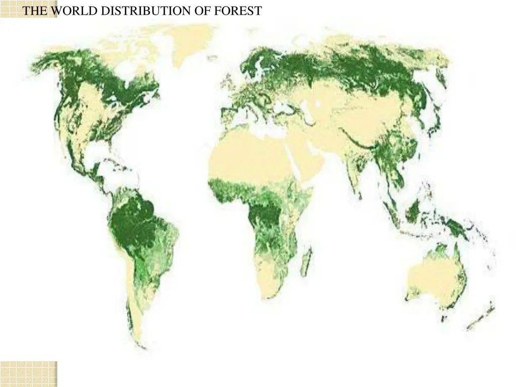 the world distribution of forest