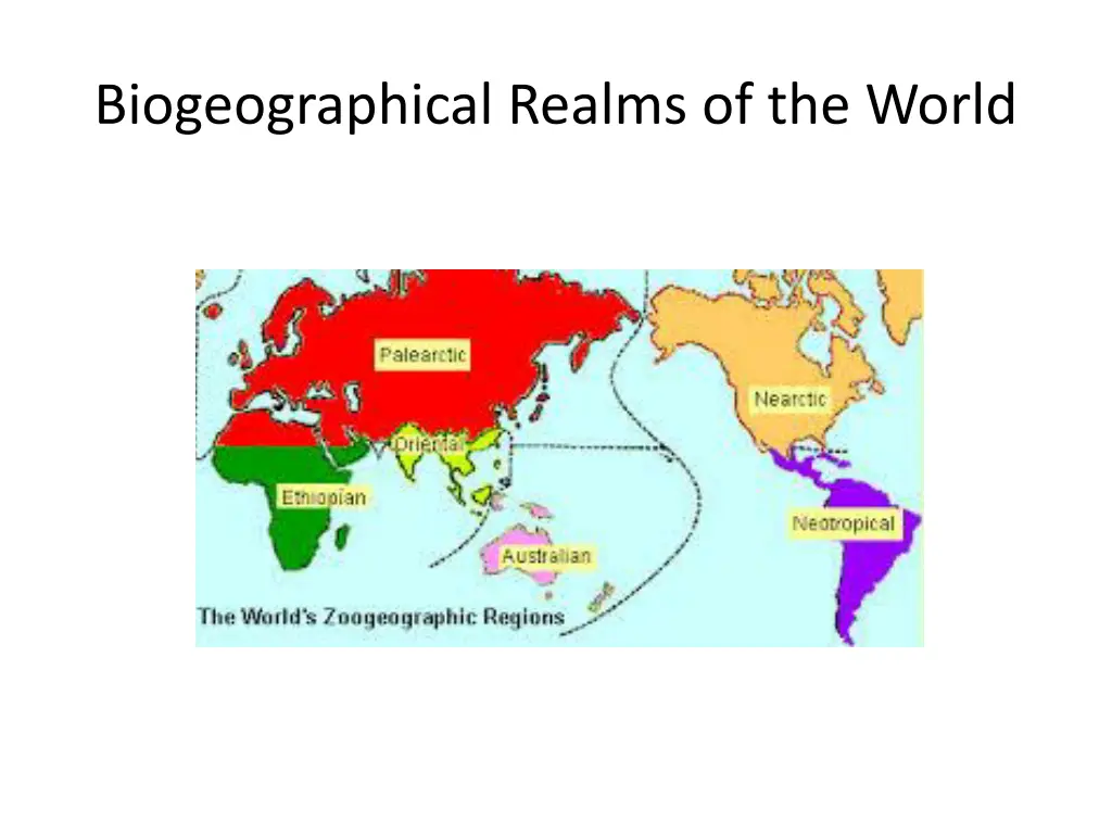 biogeographical realms of the world