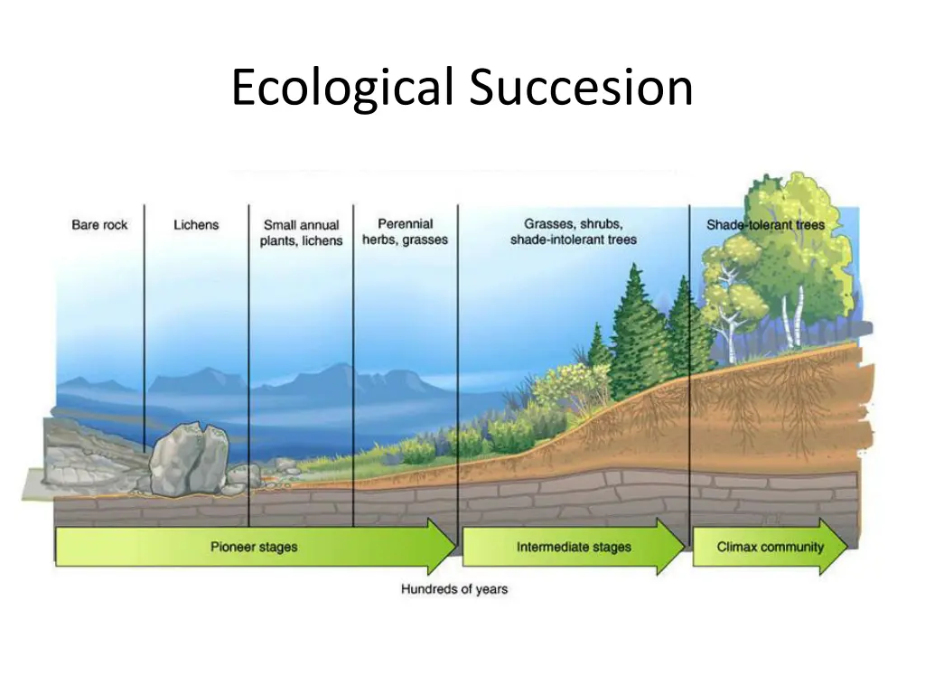 ecological succesion