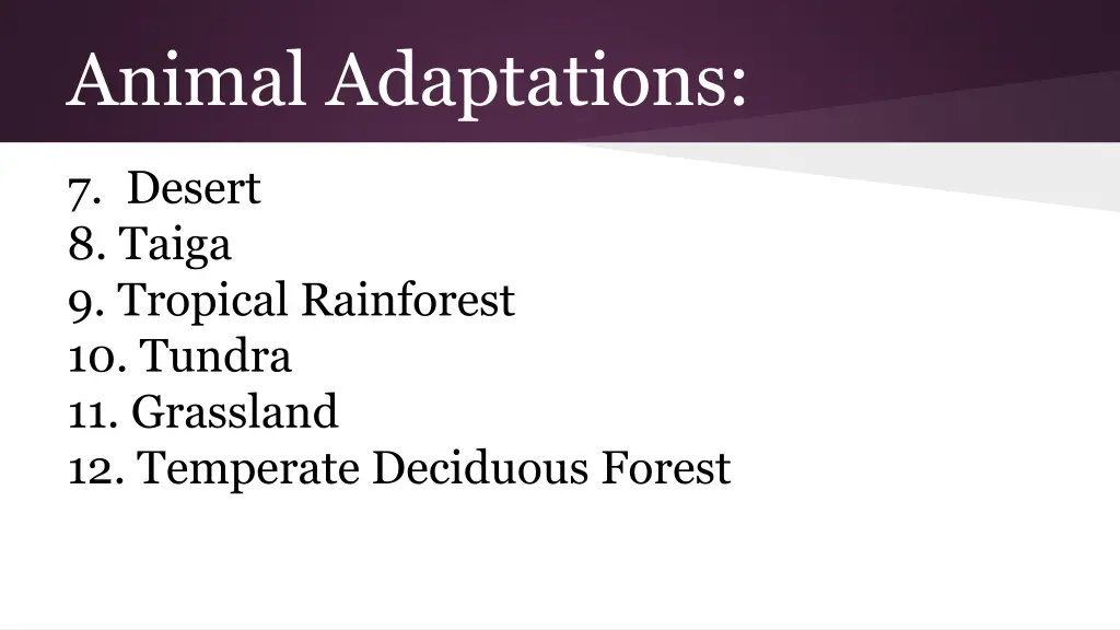 animal adaptations