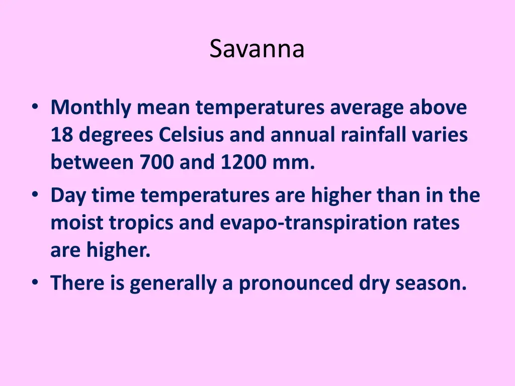 savanna 1