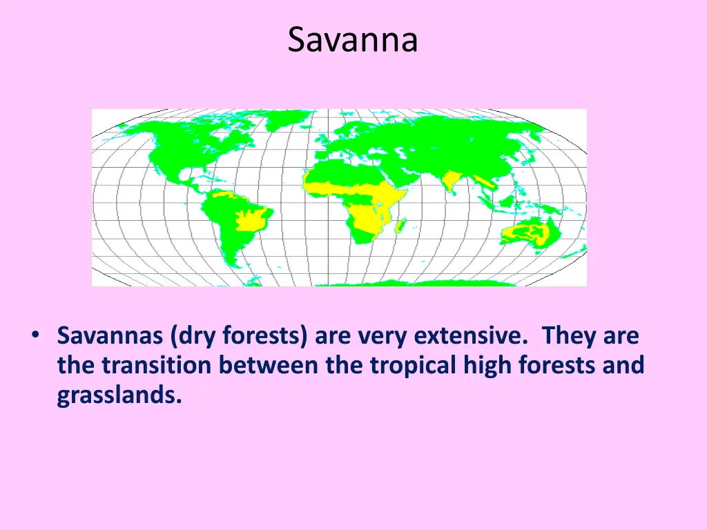 savanna