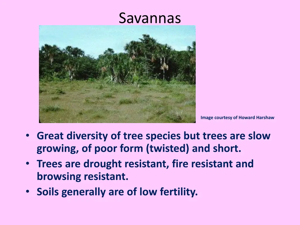 savannas