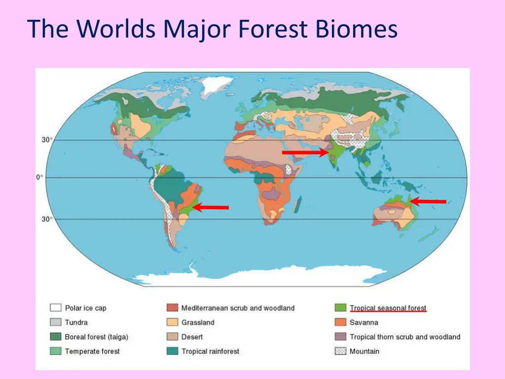 the worlds major forest biomes