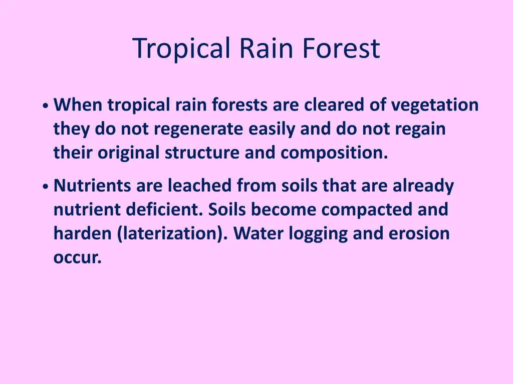 tropical rain forest 10