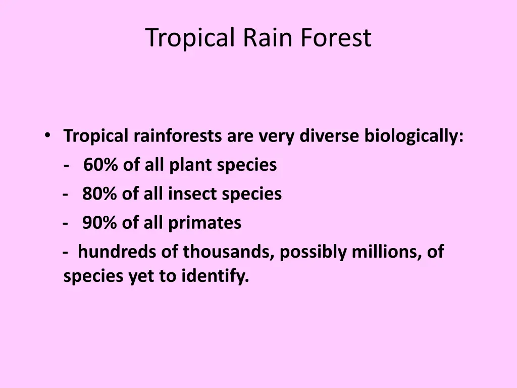 tropical rain forest 3