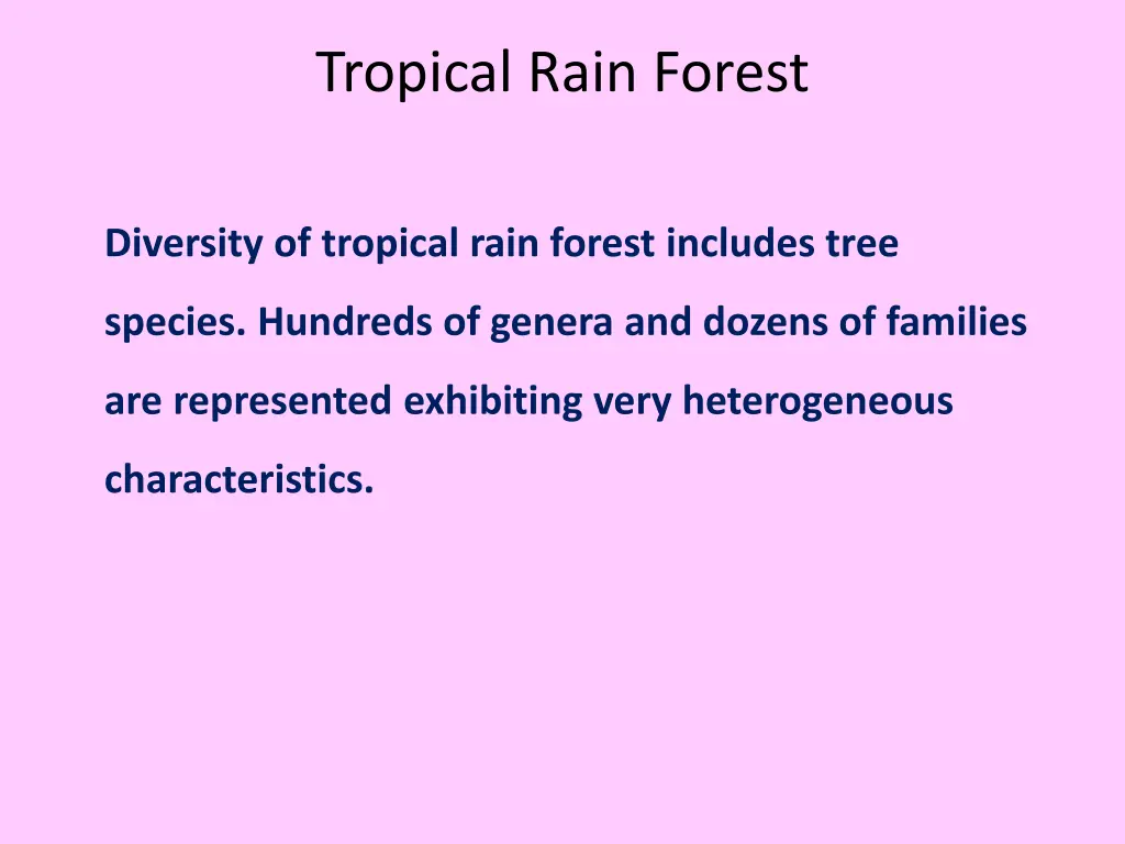 tropical rain forest 4