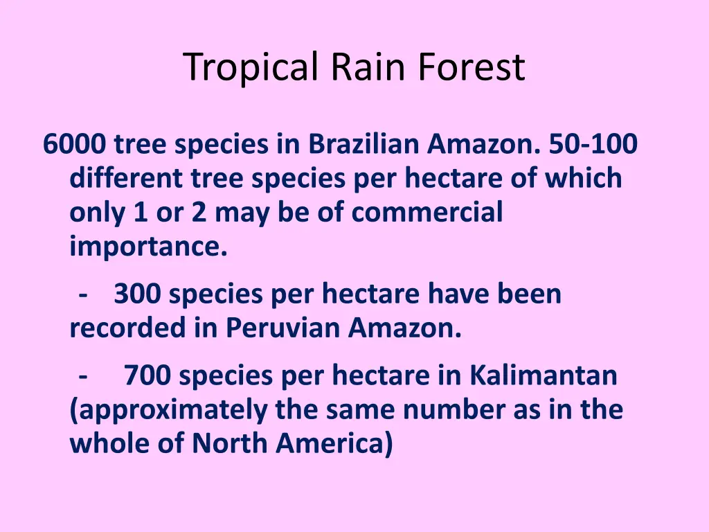 tropical rain forest 5