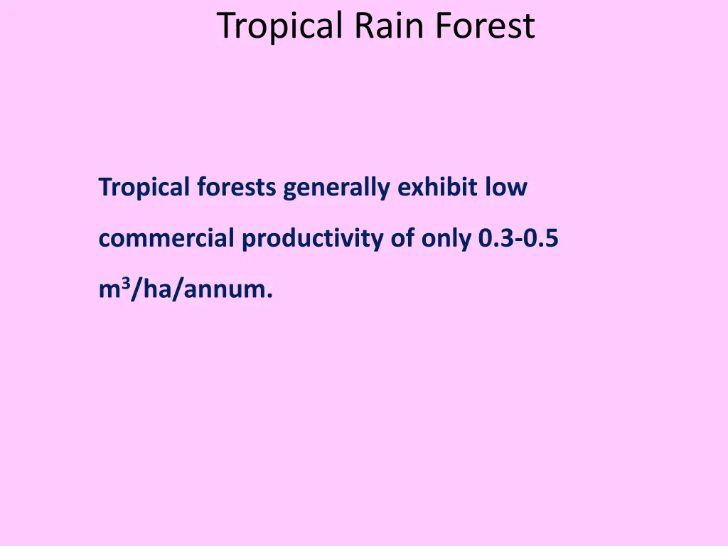 tropical rain forest 6