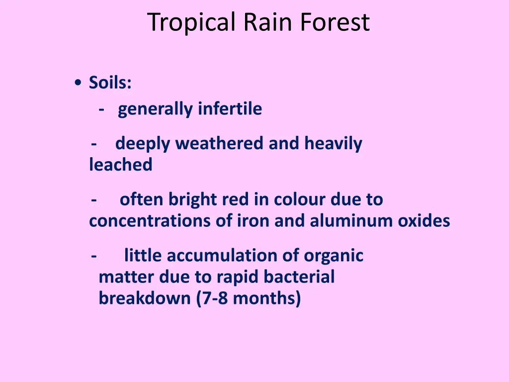 tropical rain forest 7