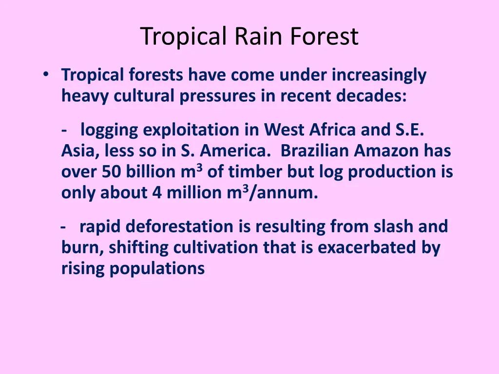 tropical rain forest 8