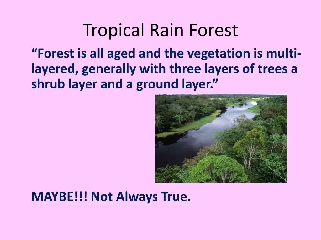 tropical rain forest forest is all aged