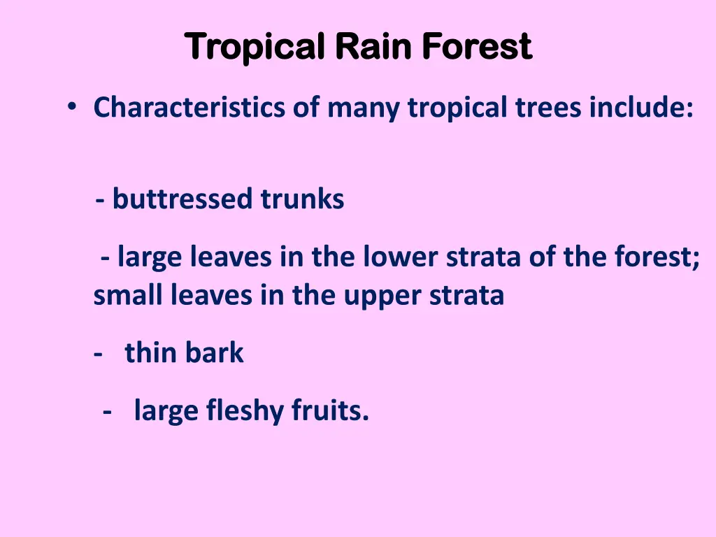 tropical rain forest tropical rain forest