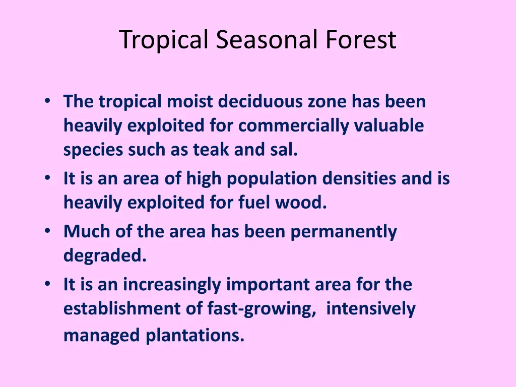 tropical seasonal forest 1