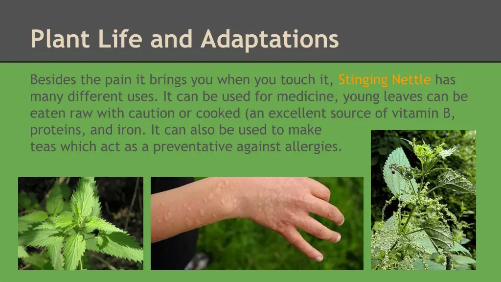 plant life and adaptations 3