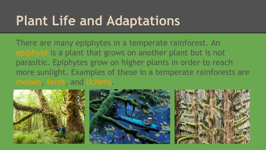 plant life and adaptations 7