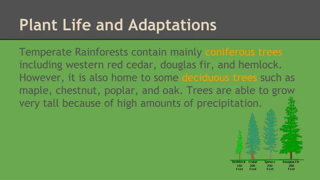 plant life and adaptations