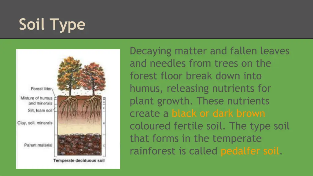 soil type