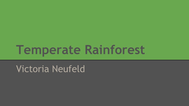 temperate rainforest