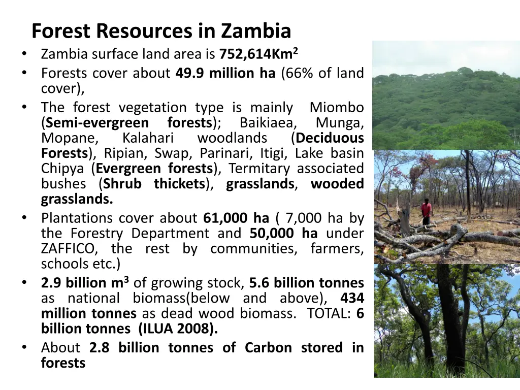 forest resources in zambia zambia surface land