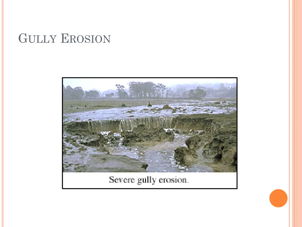 g ully e rosion