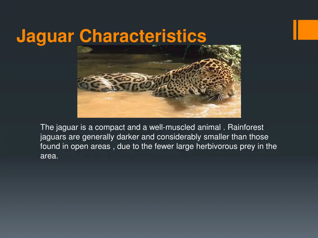 jaguar characteristics