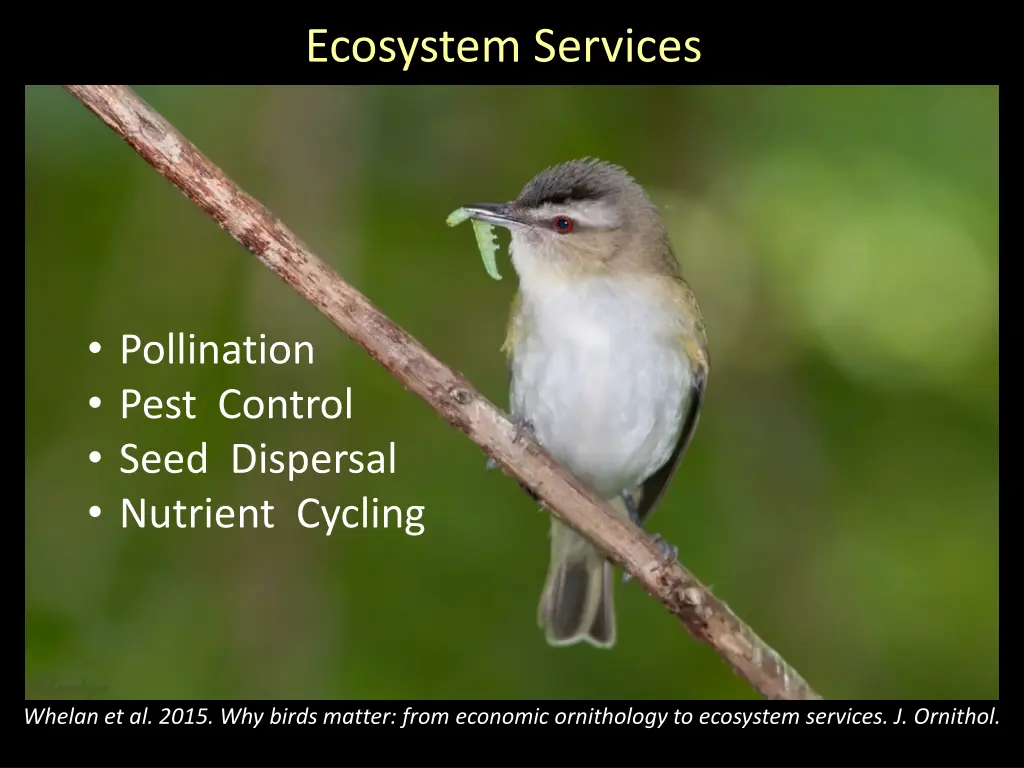 ecosystem services