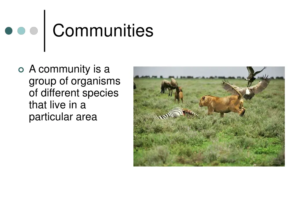 communities