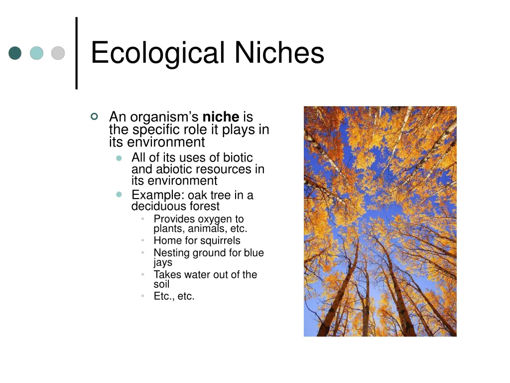 ecological niches