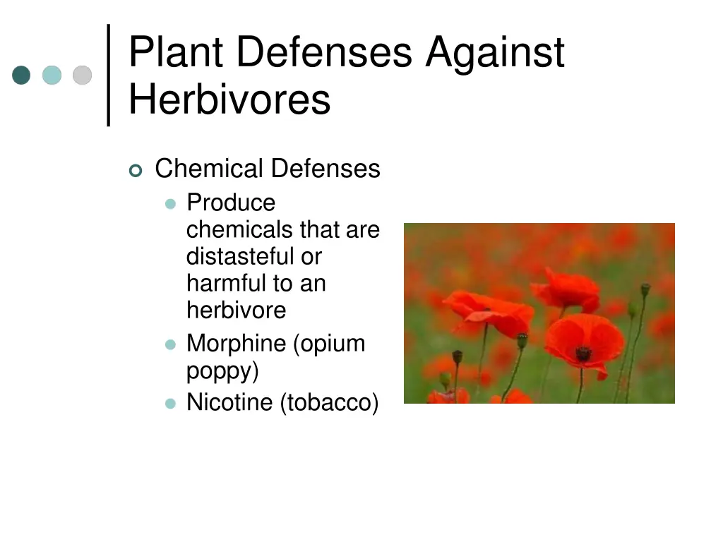 plant defenses against herbivores 1