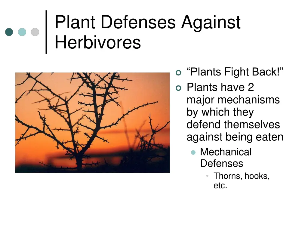 plant defenses against herbivores