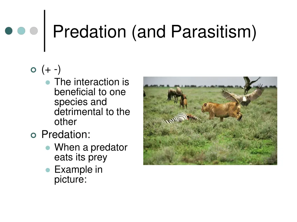 predation and parasitism