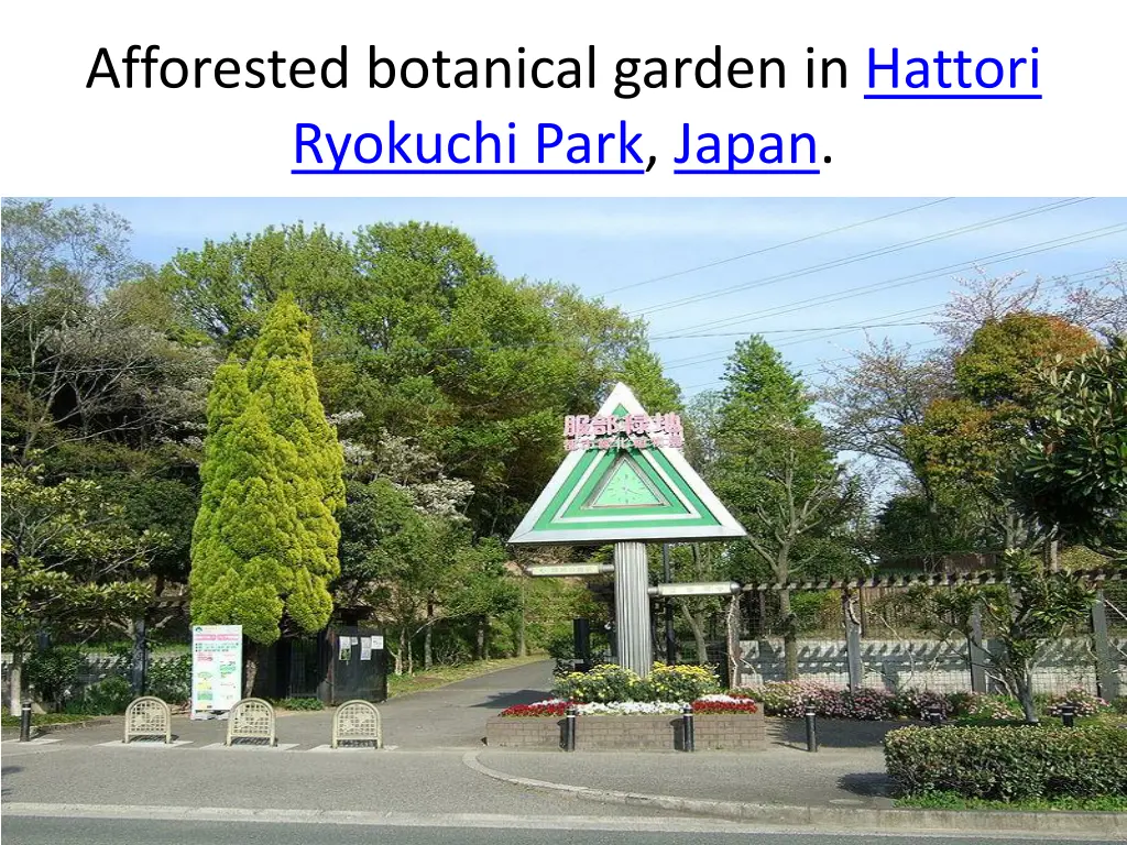 afforested botanical garden in hattori ryokuchi